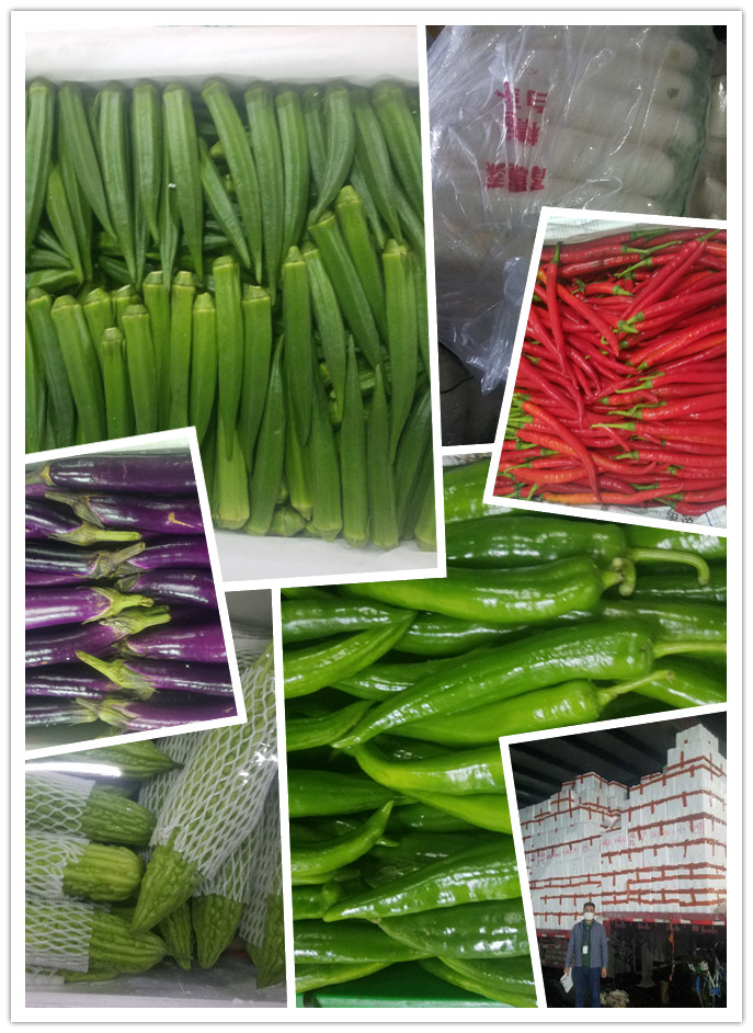 首页-PA集团有限公司官网入口