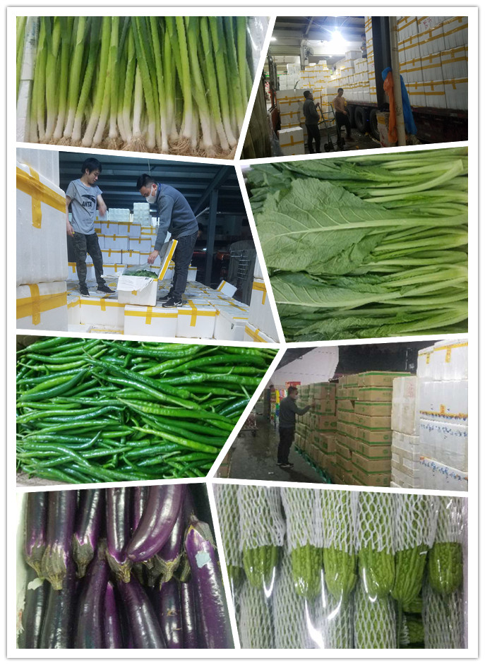 首页-PA集团有限公司官网入口