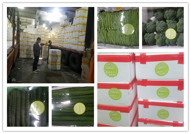 首页-PA集团有限公司官网入口