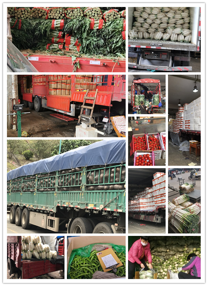 首页-PA集团有限公司官网入口