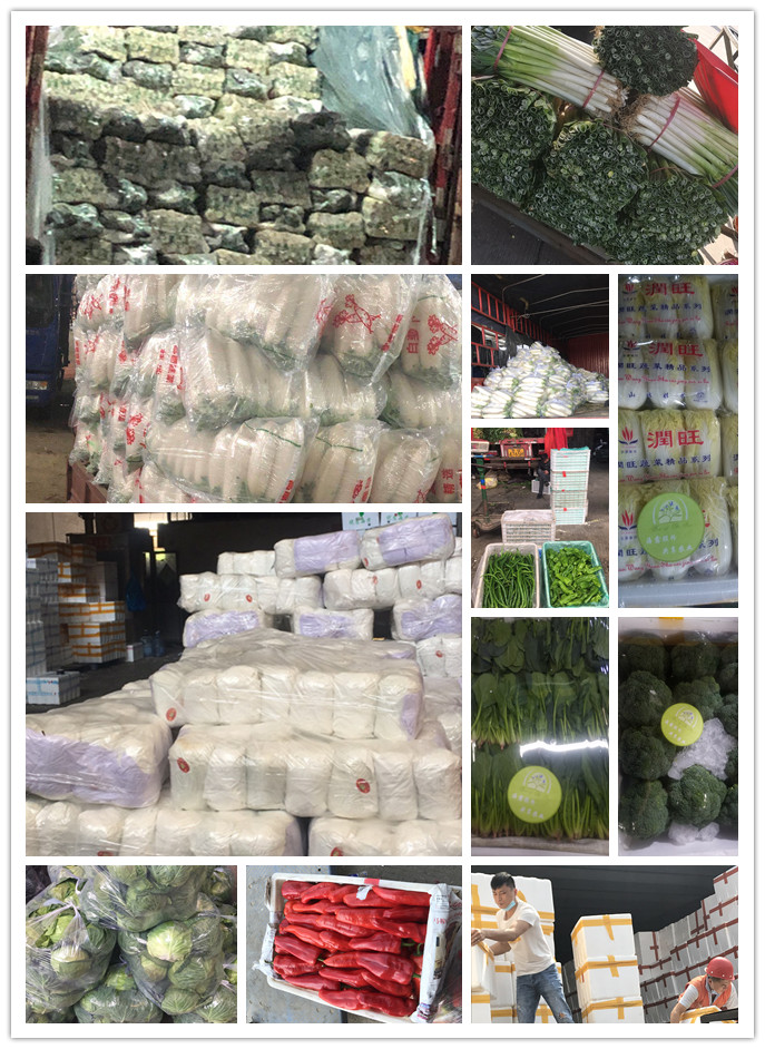 首页-PA集团有限公司官网入口