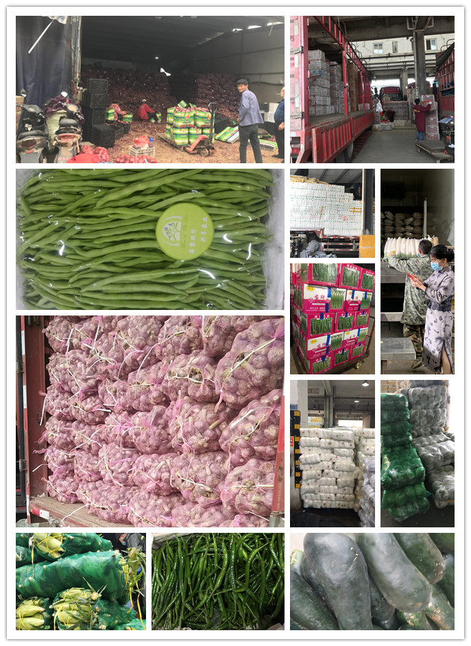 首页-PA集团有限公司官网入口