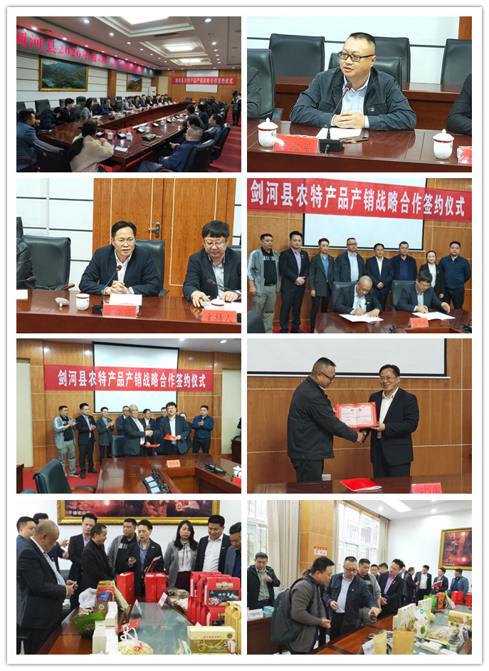 首页-PA集团有限公司官网入口