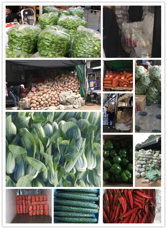 首页-PA集团有限公司官网入口