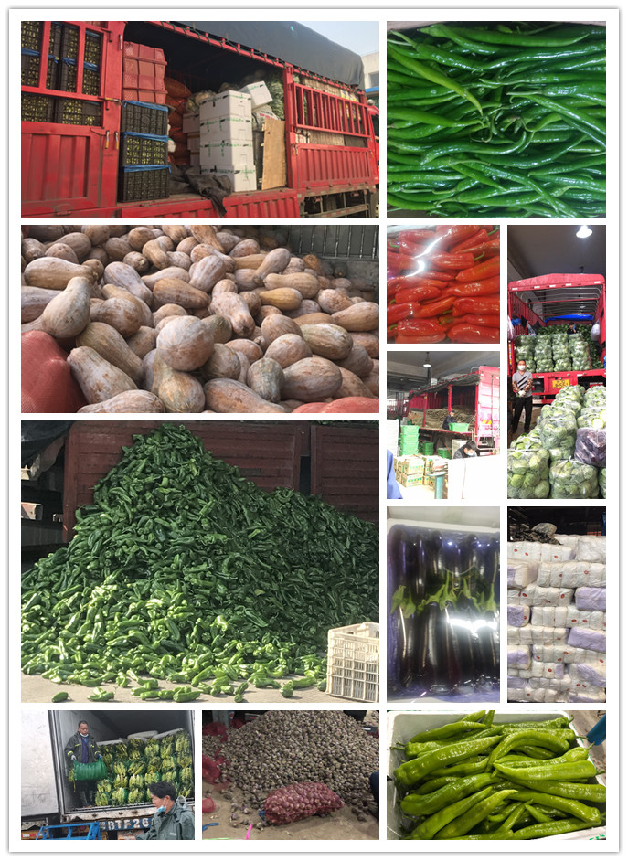 首页-PA集团有限公司官网入口