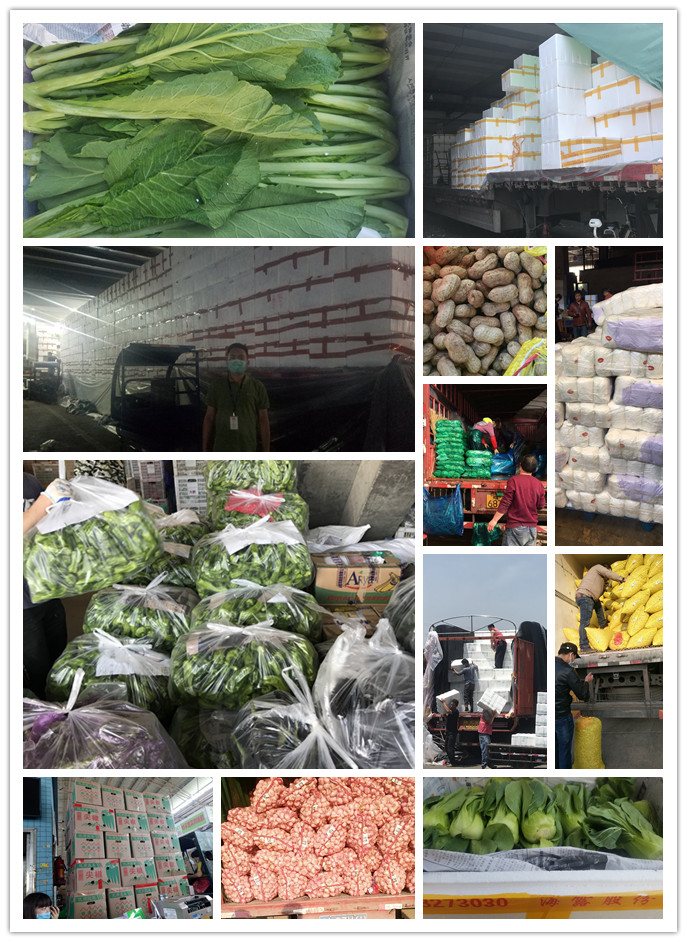 首页-PA集团有限公司官网入口