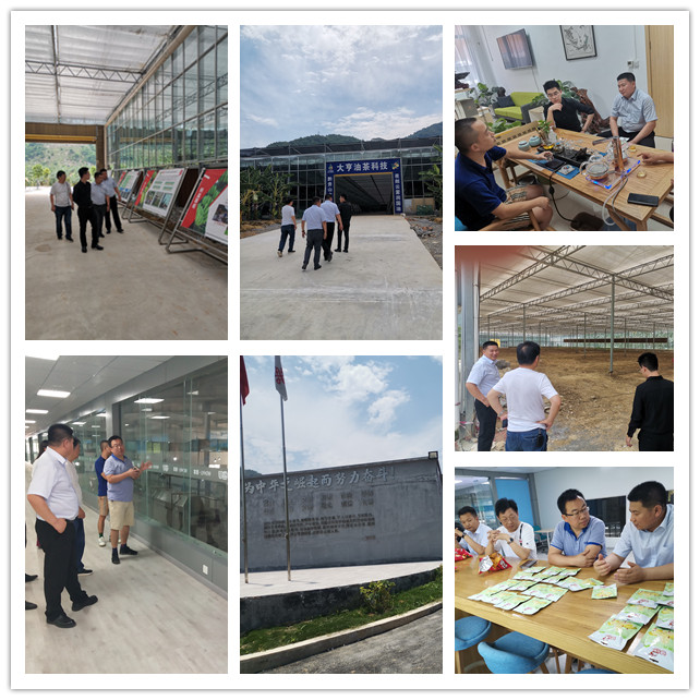 首页-PA集团有限公司官网入口