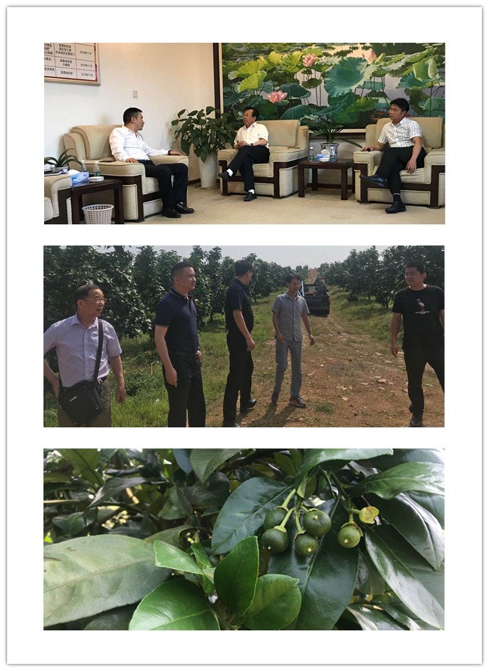 首页-PA集团有限公司官网入口