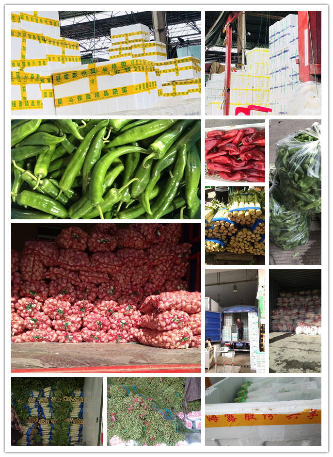 首页-PA集团有限公司官网入口