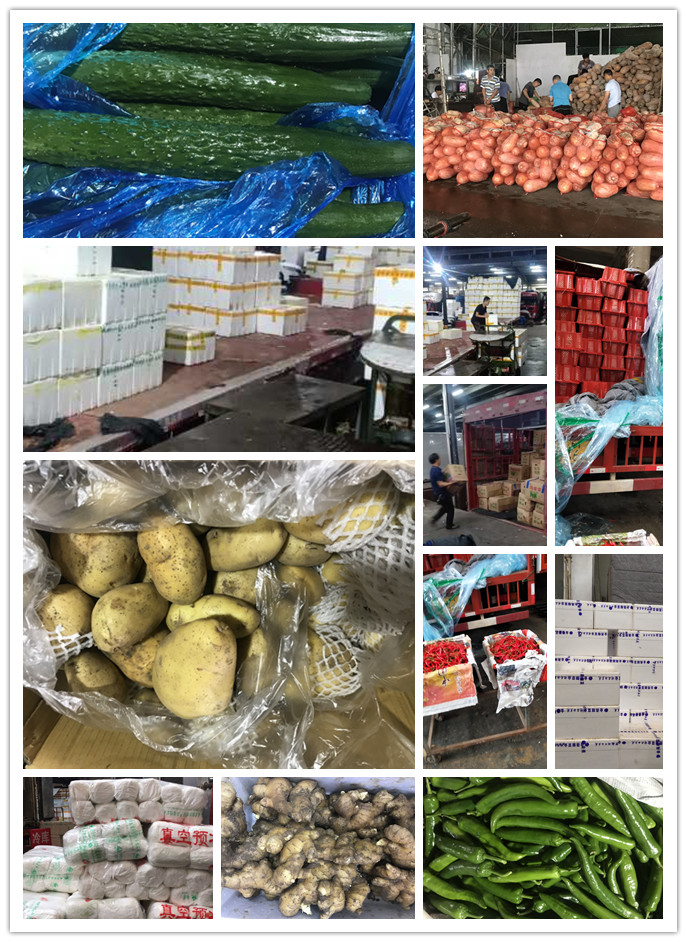 首页-PA集团有限公司官网入口