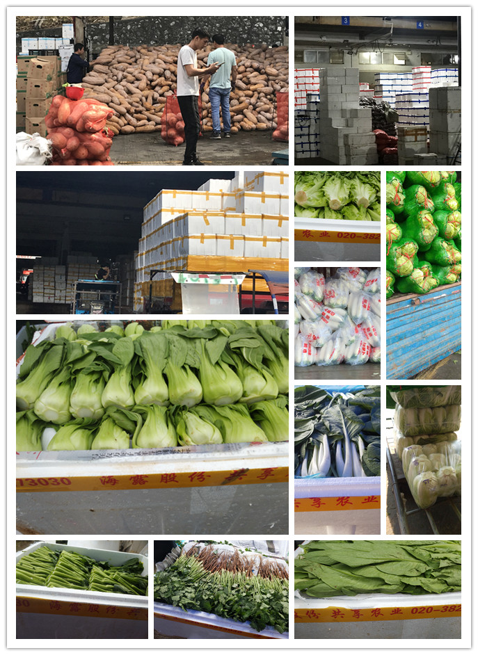 首页-PA集团有限公司官网入口