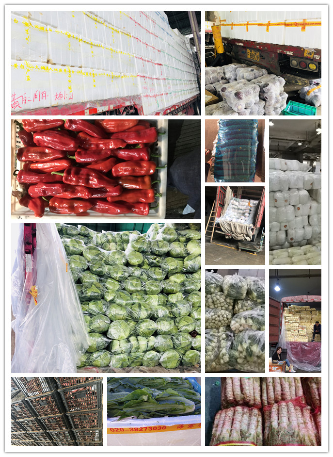 首页-PA集团有限公司官网入口