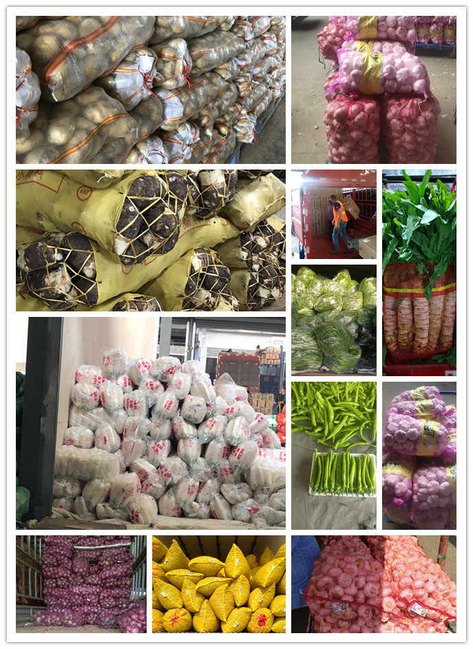 首页-PA集团有限公司官网入口