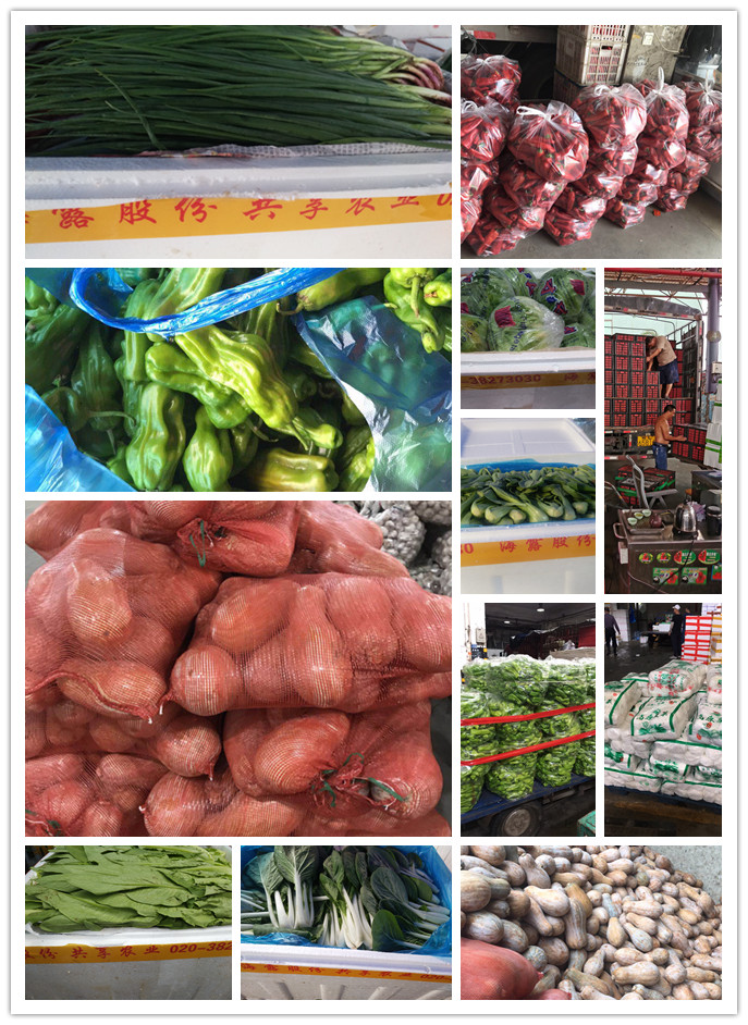 首页-PA集团有限公司官网入口