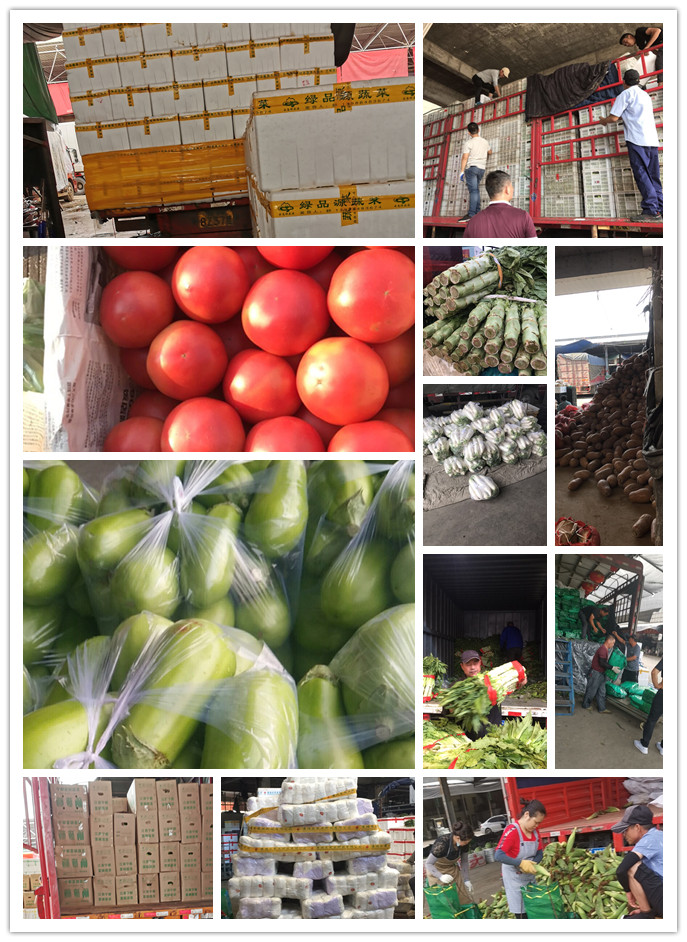 首页-PA集团有限公司官网入口