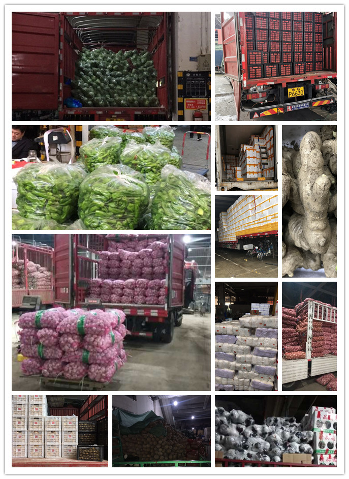 首页-PA集团有限公司官网入口