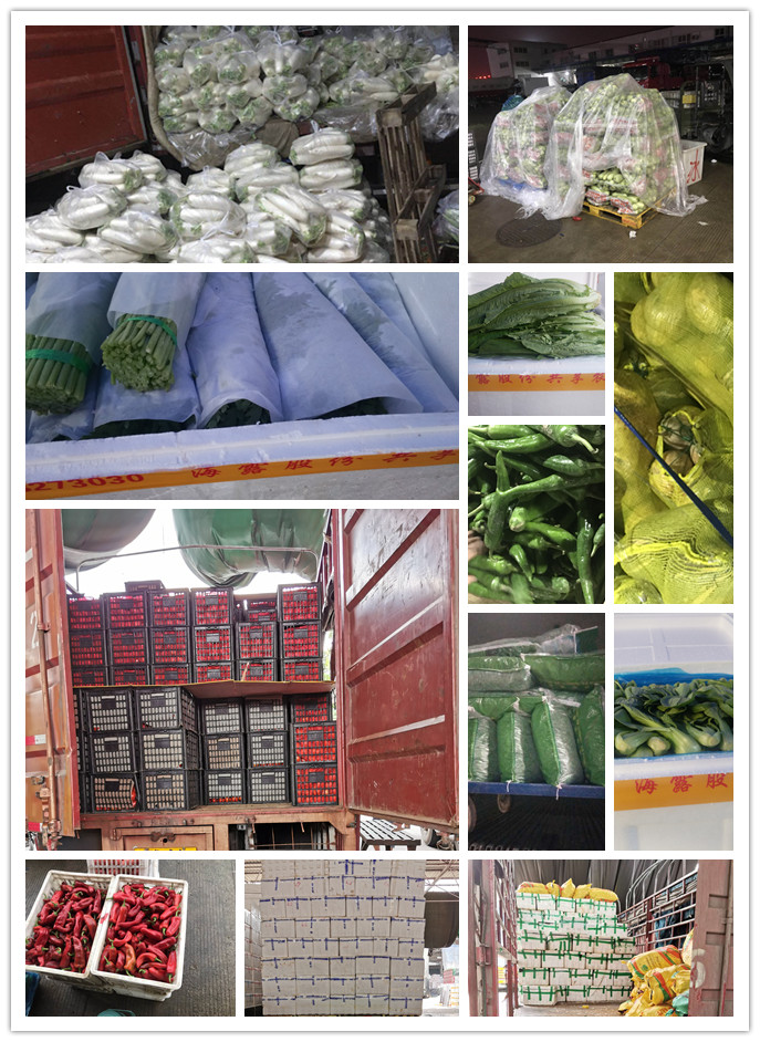 首页-PA集团有限公司官网入口