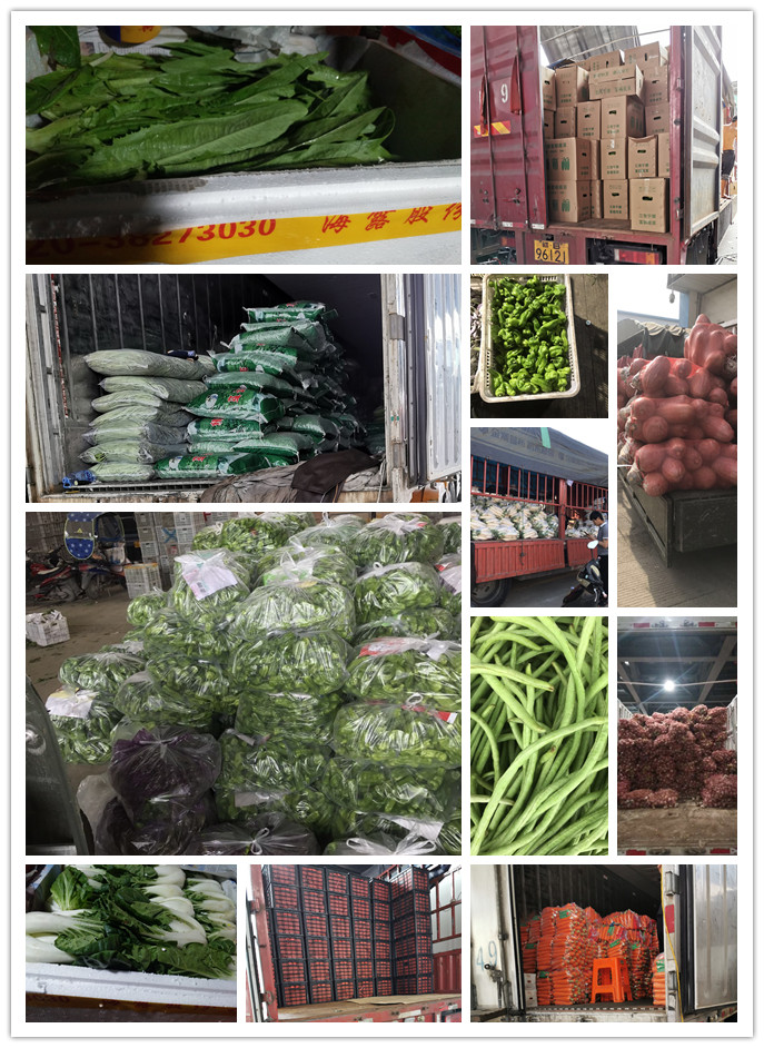 首页-PA集团有限公司官网入口