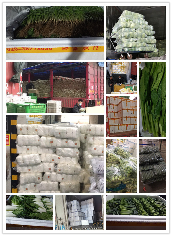 首页-PA集团有限公司官网入口