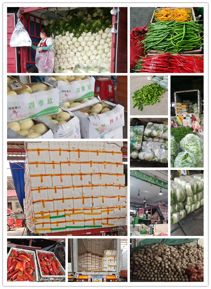 首页-PA集团有限公司官网入口