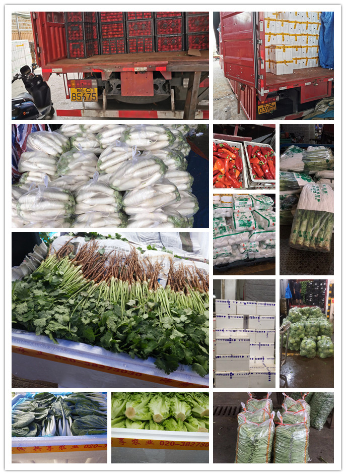 首页-PA集团有限公司官网入口