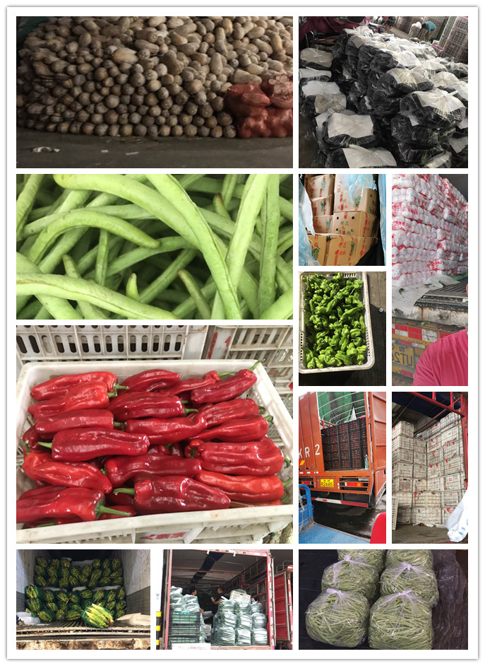 首页-PA集团有限公司官网入口