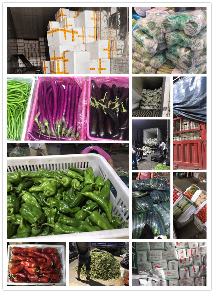 首页-PA集团有限公司官网入口