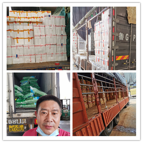 首页-PA集团有限公司官网入口