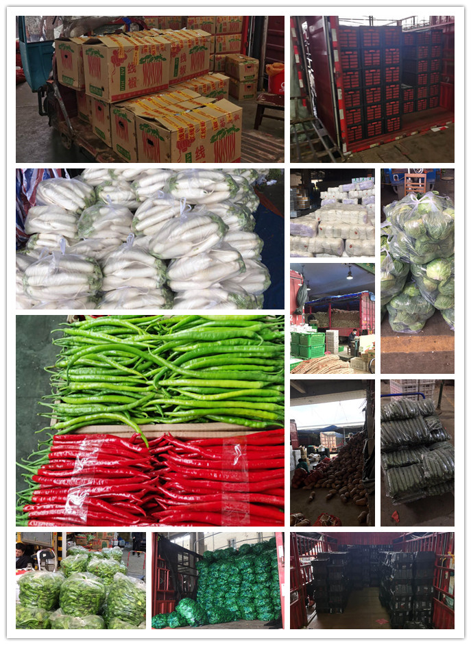 首页-PA集团有限公司官网入口