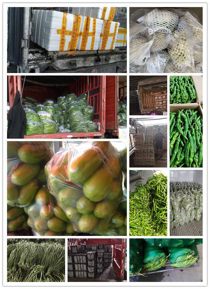 首页-PA集团有限公司官网入口