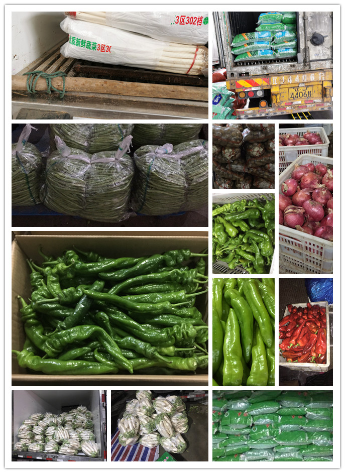 首页-PA集团有限公司官网入口