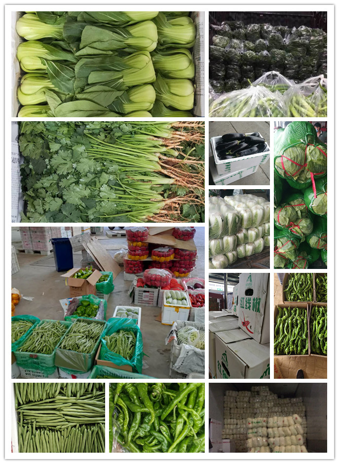 首页-PA集团有限公司官网入口