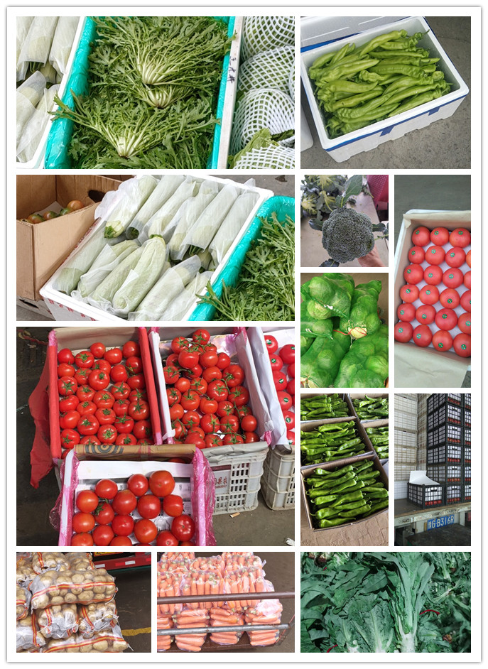 首页-PA集团有限公司官网入口