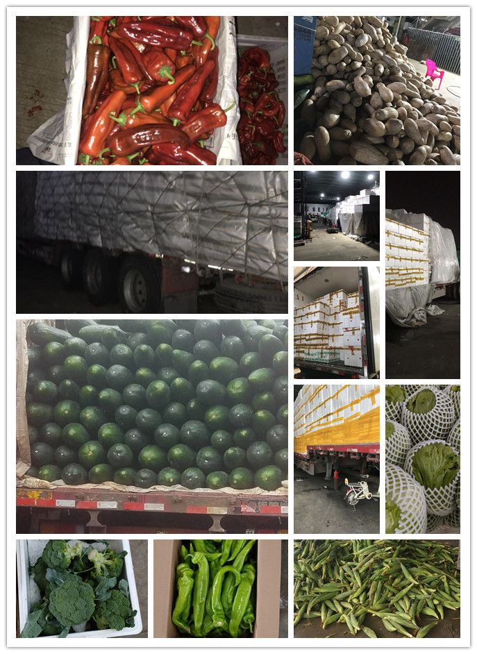 首页-PA集团有限公司官网入口