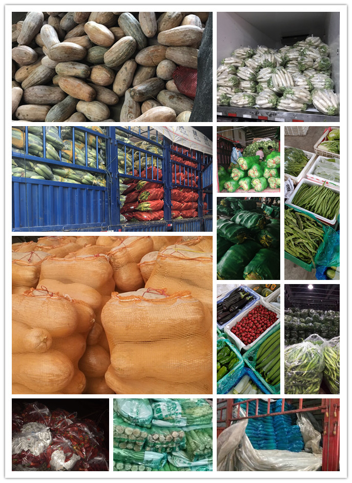 首页-PA集团有限公司官网入口