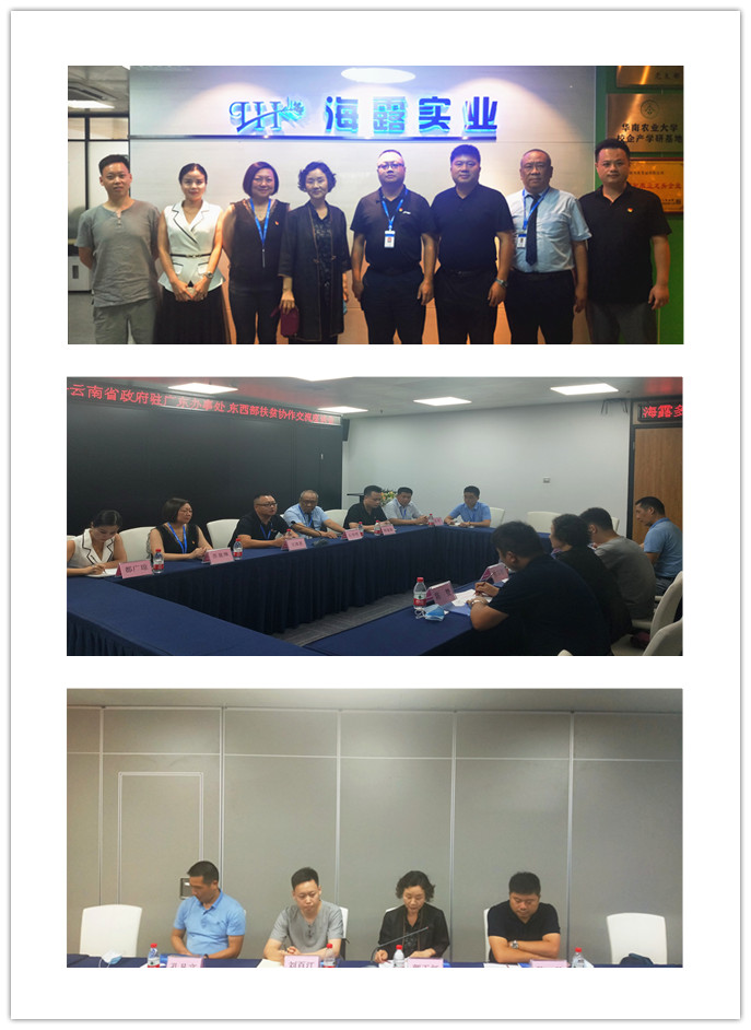 首页-PA集团有限公司官网入口