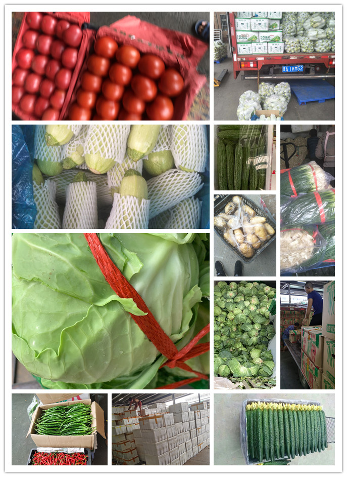 首页-PA集团有限公司官网入口