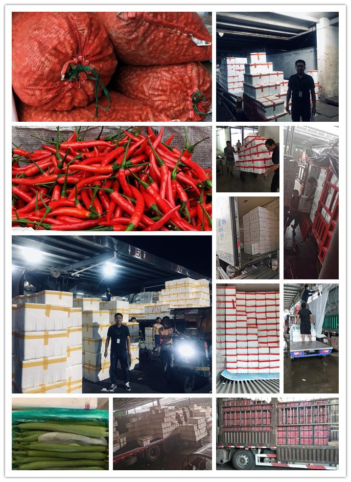 首页-PA集团有限公司官网入口