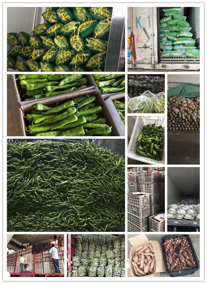 首页-PA集团有限公司官网入口