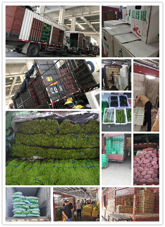 首页-PA集团有限公司官网入口