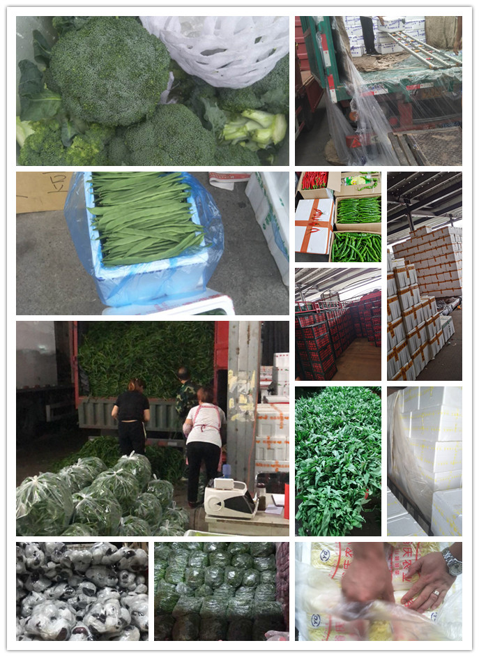 首页-PA集团有限公司官网入口