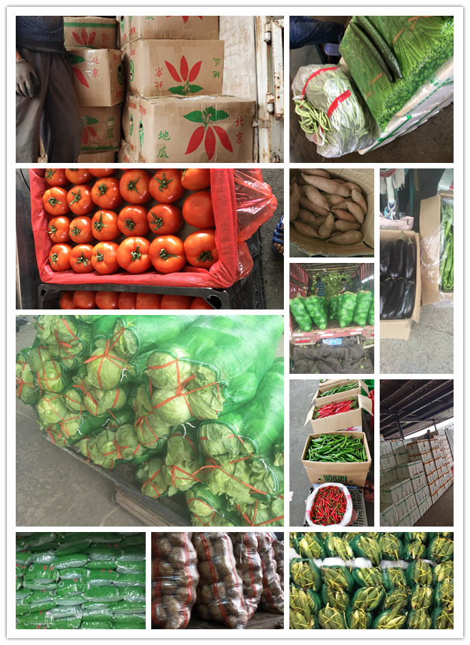 首页-PA集团有限公司官网入口