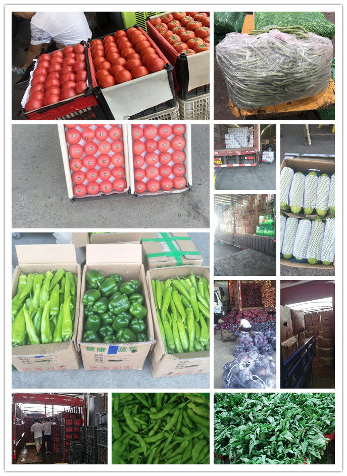 首页-PA集团有限公司官网入口