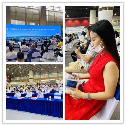 首页-PA集团有限公司官网入口