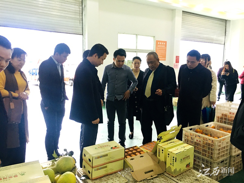 首页-PA集团有限公司官网入口