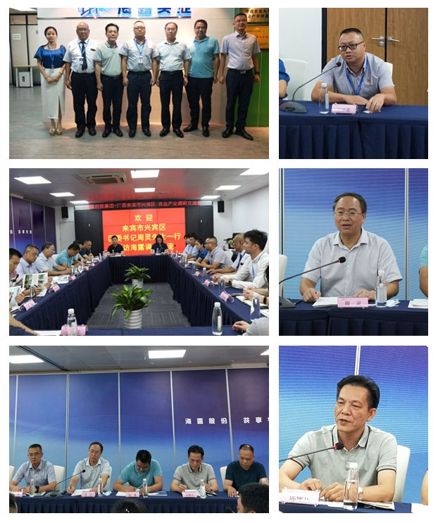 首页-PA集团有限公司官网入口