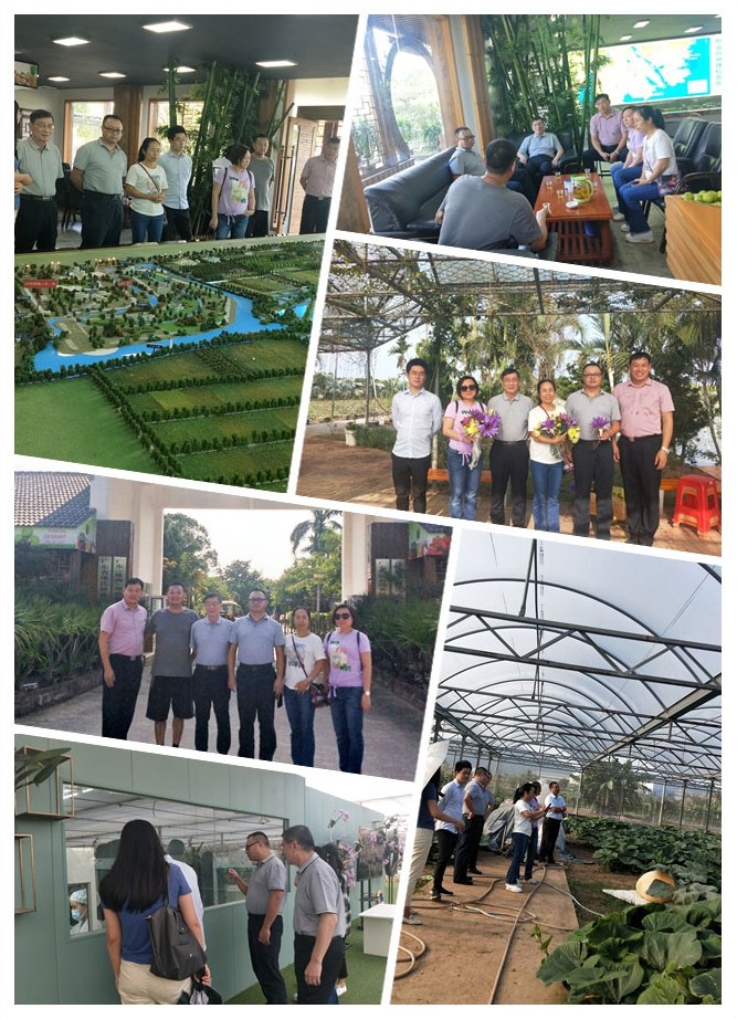 首页-PA集团有限公司官网入口