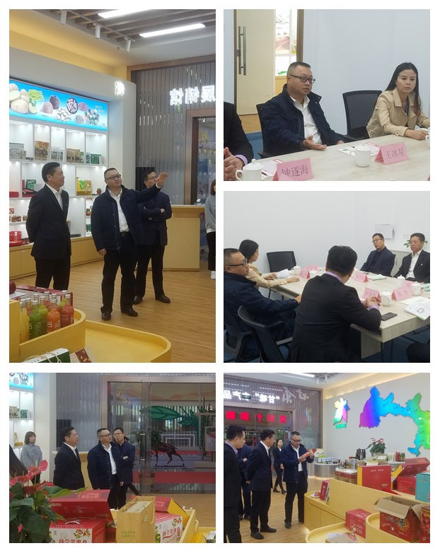 首页-PA集团有限公司官网入口