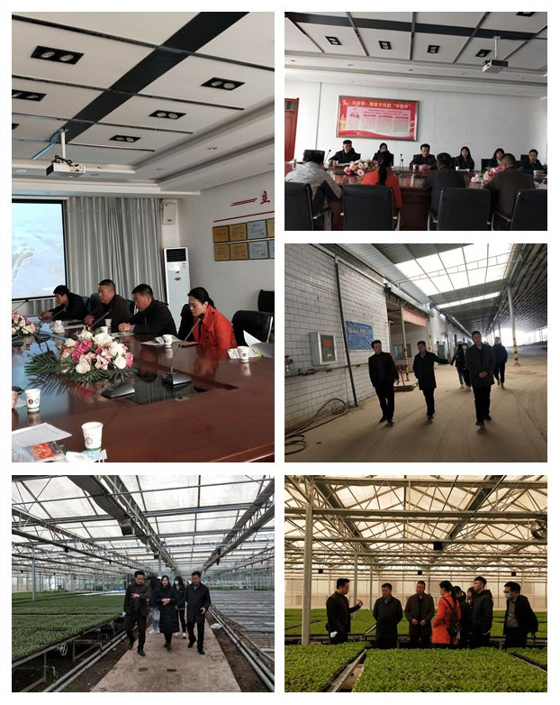 首页-PA集团有限公司官网入口