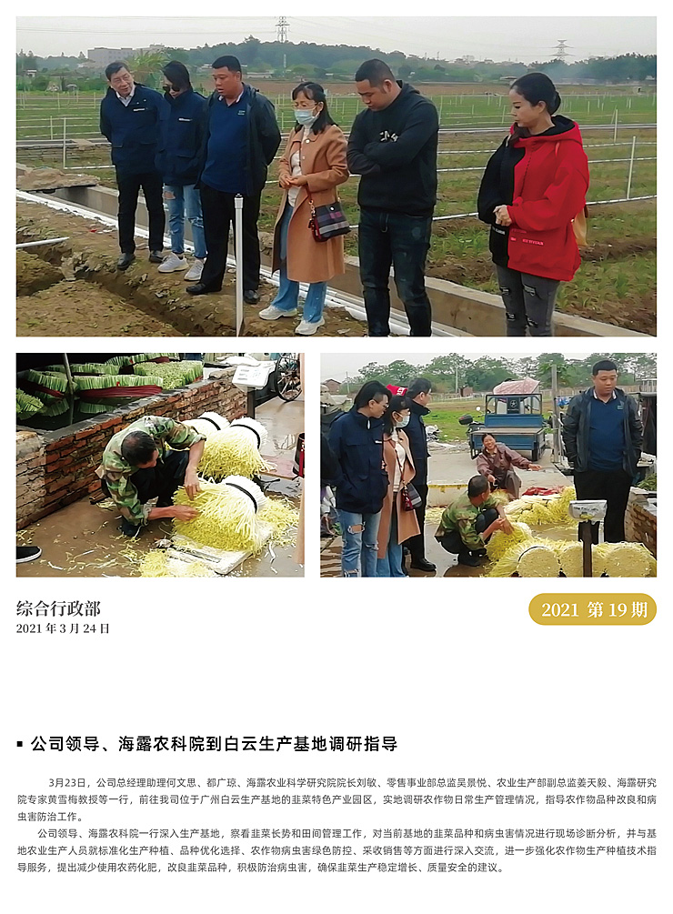 首页-PA集团有限公司官网入口